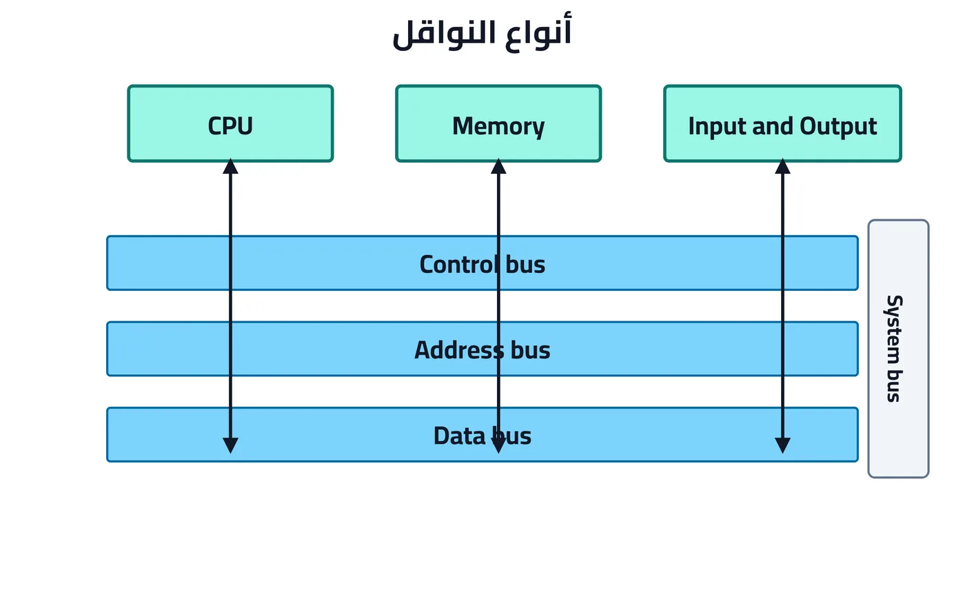 شكل ٣-٤: أنواع النواقل