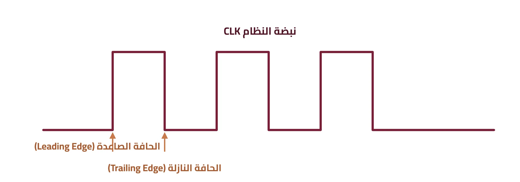 شكل ٢-٣: نبضة النظام