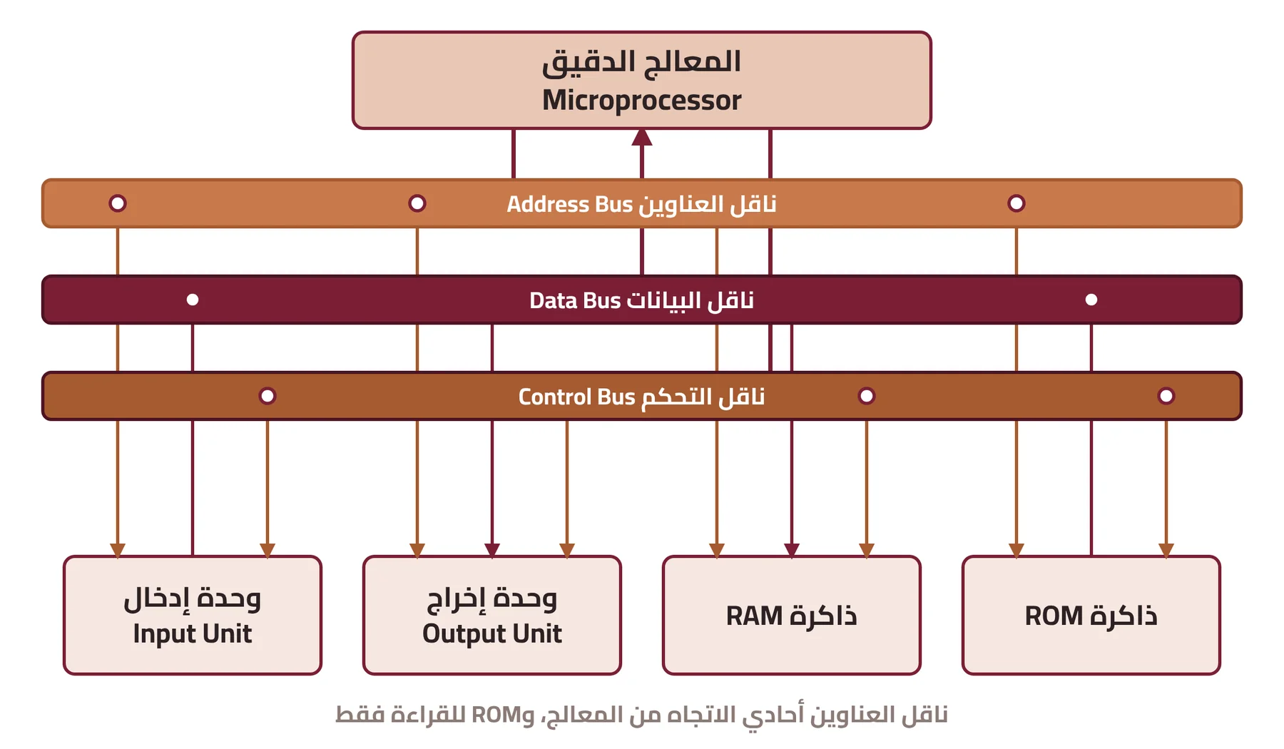 شكل ٣-١: اتصال المعالج الدقيق بالوحدات المختلفة