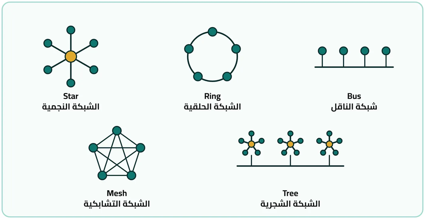 شكل ٢-١: الأشكال الهندسية المتنوعة لتصميم الشبكات