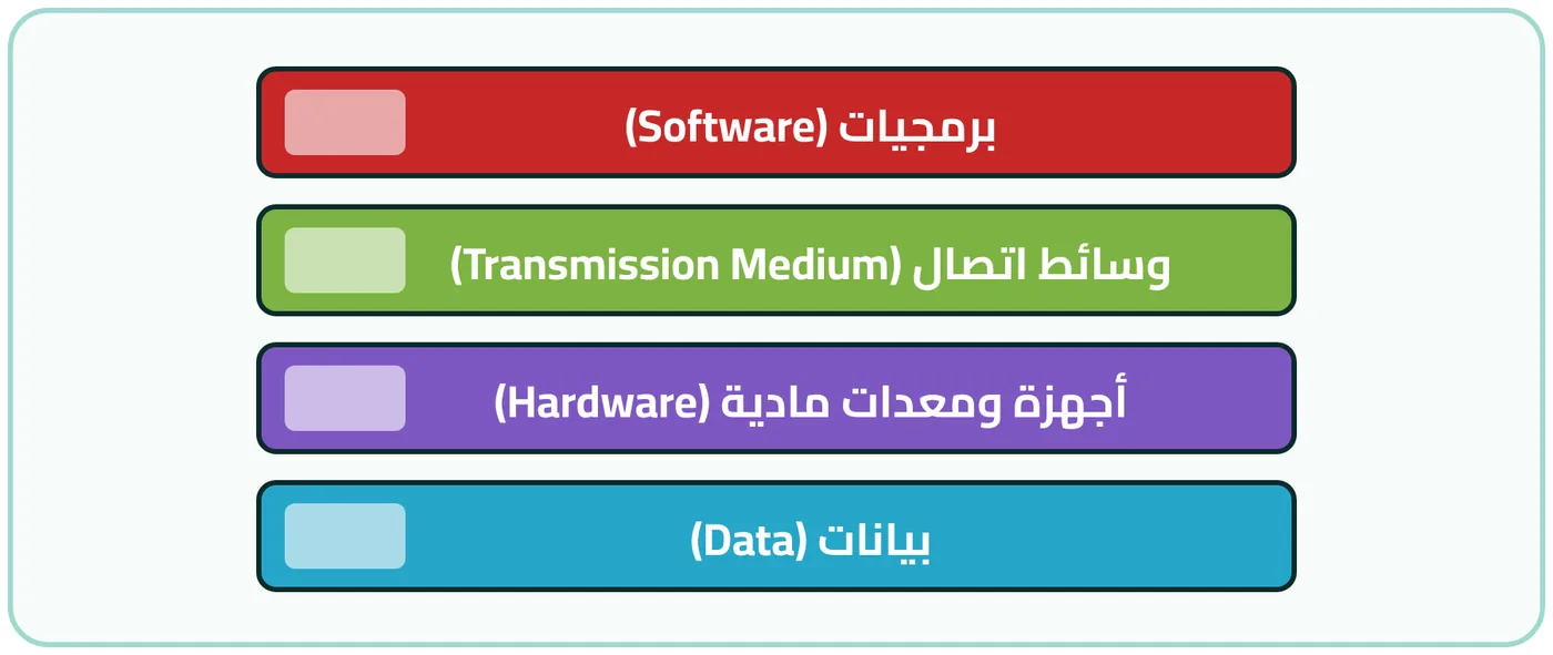 شكل ٥-٢: العناصر الرئيسة لشبكة الإنترنت